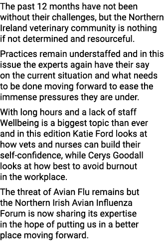 The past 12 months have not been without their challenges, but the Northern Ireland veterinary community is nothing i...