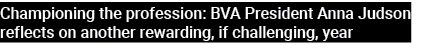 Championing the profession: BVA President Anna Judson reflects on another rewarding, if challenging, year 