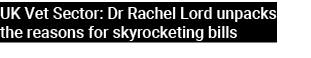 UK Vet Sector: Dr Rachel Lord unpacks the reasons for skyrocketing bills 