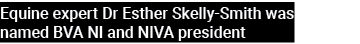 Equine expert Dr Esther Skelly Smith was named BVA NI and NIVA president 