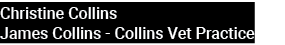 Christine Collins James Collins Collins Vet Practice 