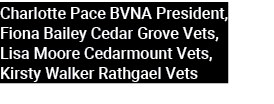 Charlotte Pace BVNA President, Fiona Bailey Cedar Grove Vets, Lisa Moore Cedarmount Vets, Kirsty Walker Rathgael Vets