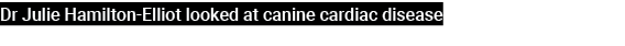 Dr Julie Hamilton Elliot looked at canine cardiac disease