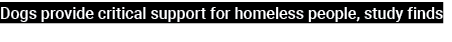 Dogs provide critical support for homeless people, study finds
