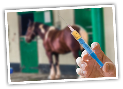 Garvagh vet honoured at London Vet Show