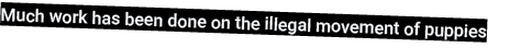 Much work has been done on the illegal movement of puppies