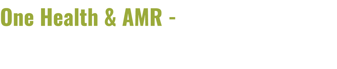 One Health & AMR reflections on a visit to India 