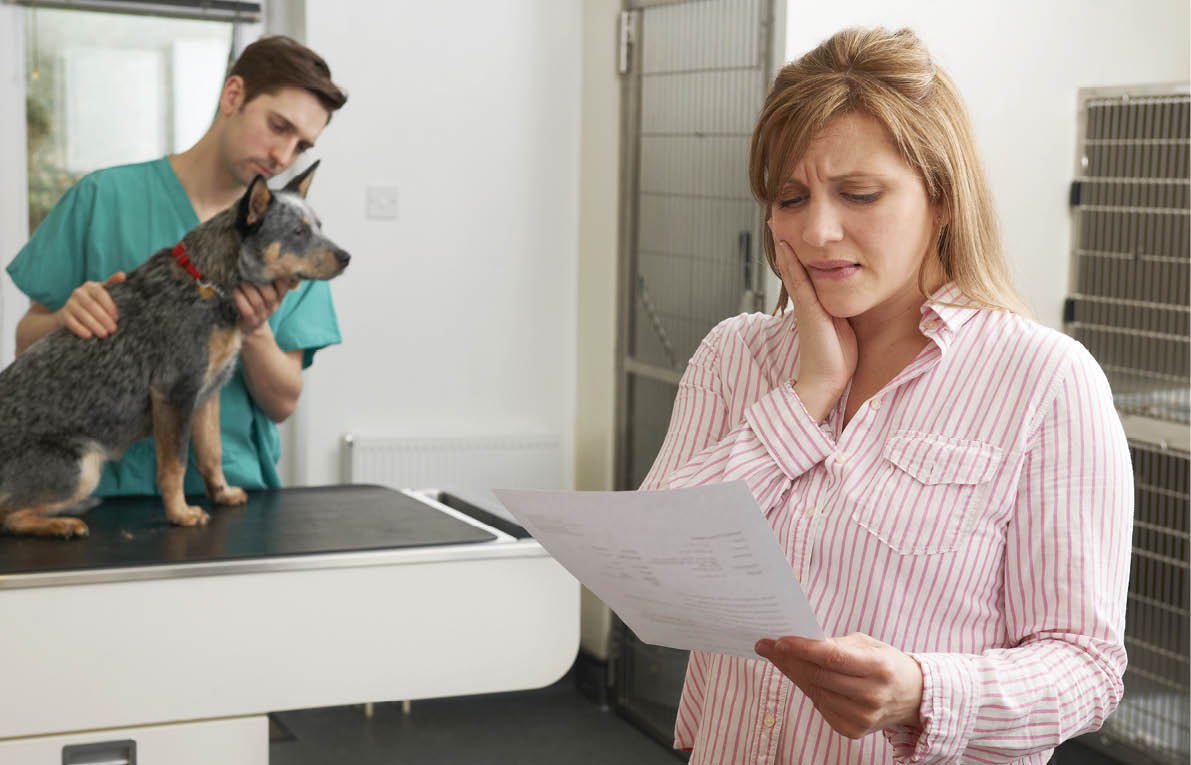 Worried Woman Looking At Bill In Veterinary Surgery