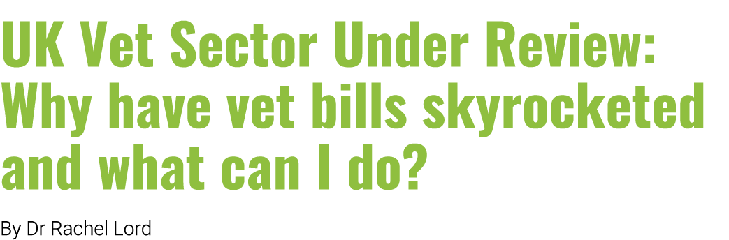 UK Vet Sector Under Review: Why have vet bills skyrocketed and what can I do? By Dr Rachel Lord