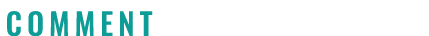  COMMENT