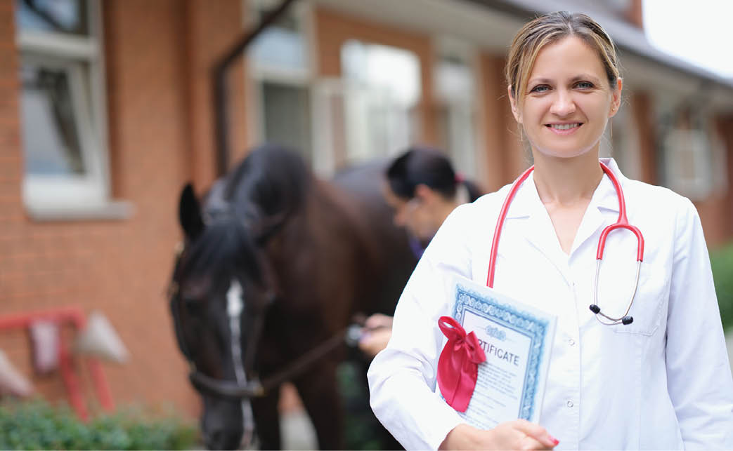 Woman doctor holding certificate with genetic examination of purebred horse in stable