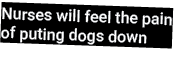 Nurses will feel the pain of puting dogs down