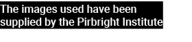 The images used have been supplied by the Pirbright Institute