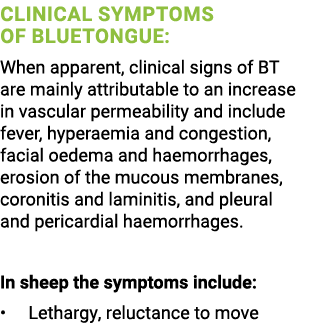 Clinical Symptoms of Bluetongue: When apparent, clinical signs of BT are mainly attributable to an increase in vascul...