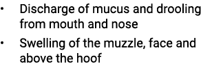 • Discharge of mucus and drooling from mouth and nose • Swelling of the muzzle, face and above the hoof 