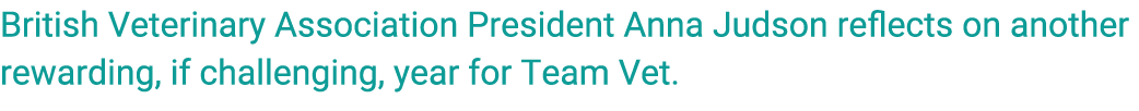 British Veterinary Association President Anna Judson reflects on another rewarding, if challenging, year for Team Vet. 