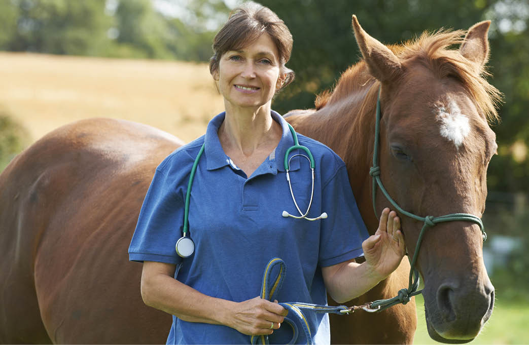 Portrait Of Female Vet In Field With Horse