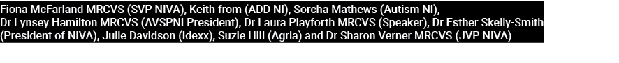 Fiona McFarland MRCVS (SVP NIVA), Keith from (ADD NI), Sorcha Mathews (Autism NI), Dr Lynsey Hamilton MRCVS (AVSPNI P...