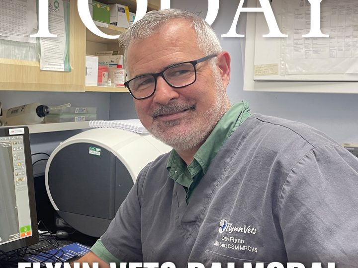 Balmoral Veterinary Practice –  Celebrating a Major Upgrade and Expansion
