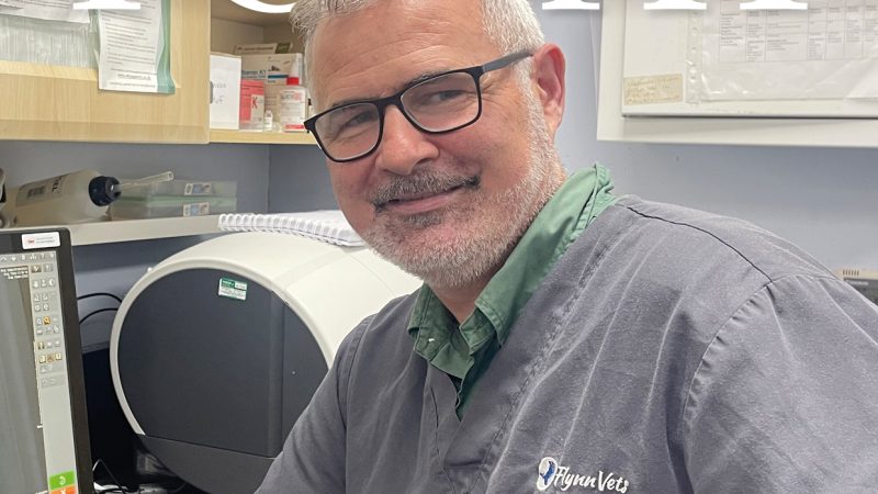 Balmoral Veterinary Practice –  Celebrating a Major Upgrade and Expansion