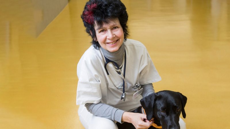 Endocrinologist is first woman to receive the WSAVA Scientific Achievement Award