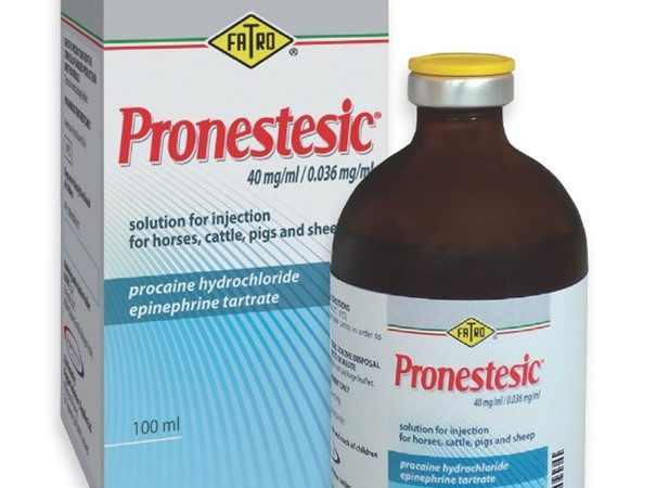 Pronestesic 40mg/ml solution for injection for horses, cattle, pigs and sheep