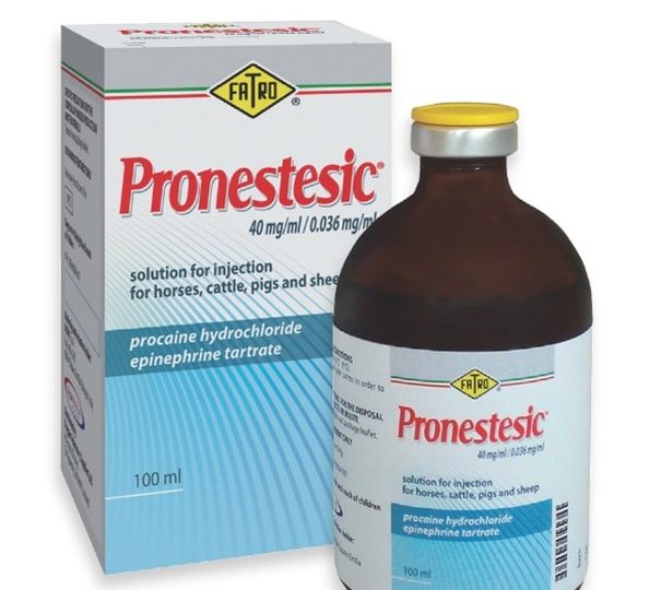 Pronestesic 40mg/ml solution for injection for horses, cattle, pigs and sheep