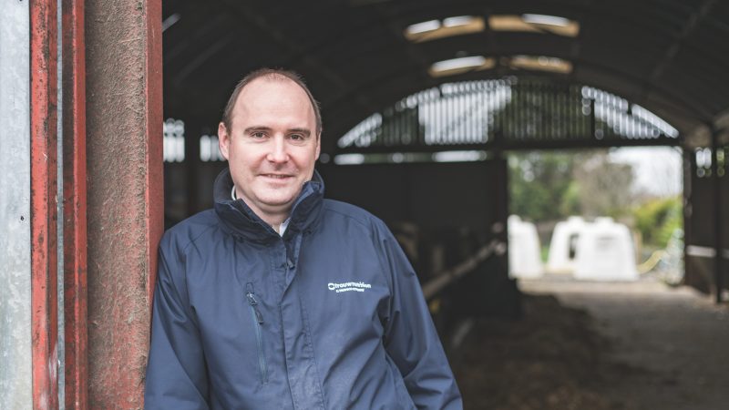 Vets ‘must be central to future NI farming policy’