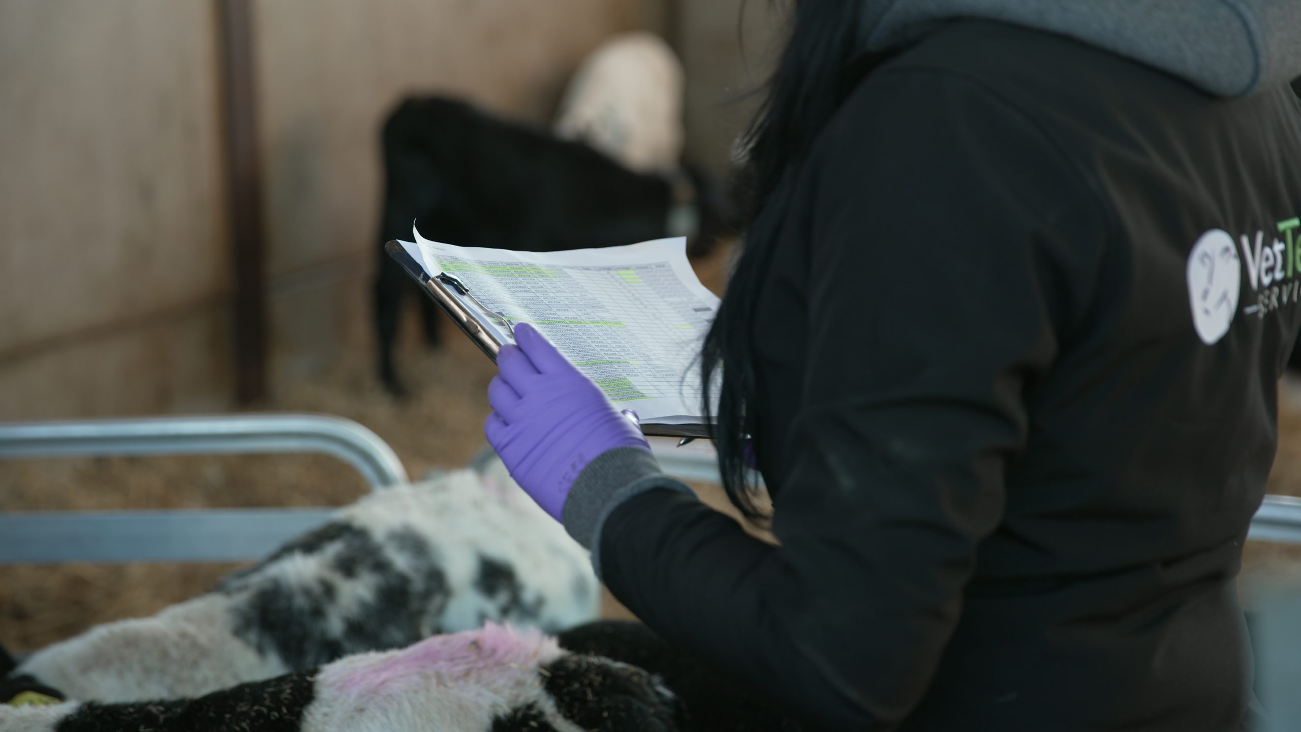 New national qualification for farm animal health professionals