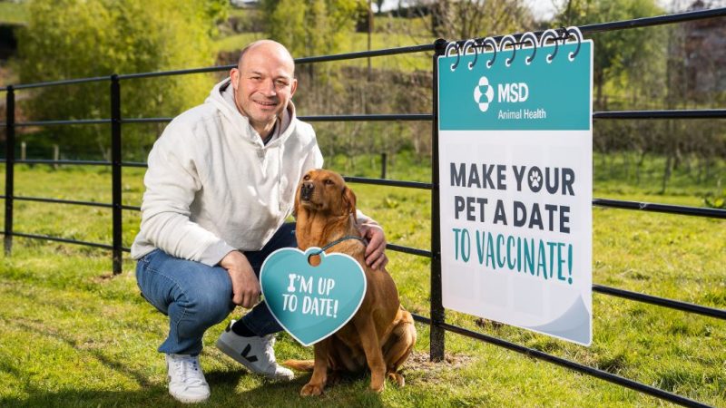 28% of Irish dog owners lagging behind on pet vaccinations