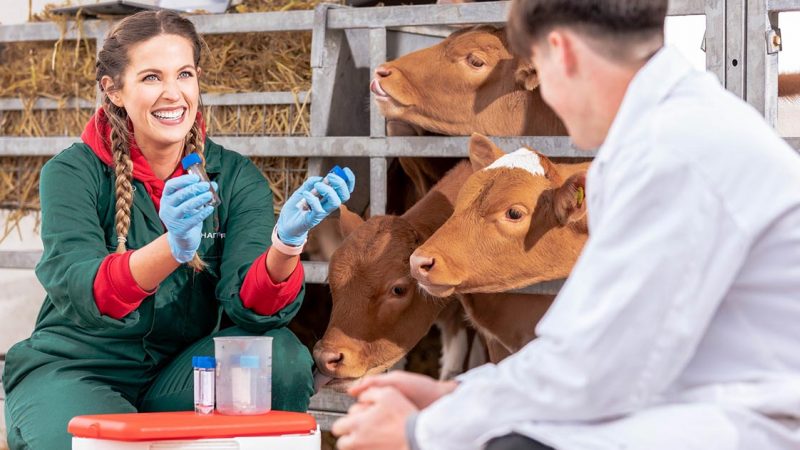 Study aims to inform dairy industry best practice