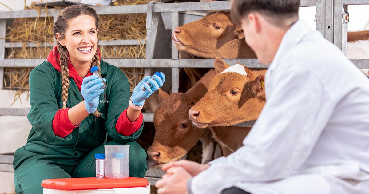 Study aims to inform dairy industry best practice