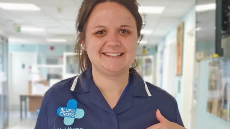 Vet nurse lands dream job after passing GCSE at 19th attempt