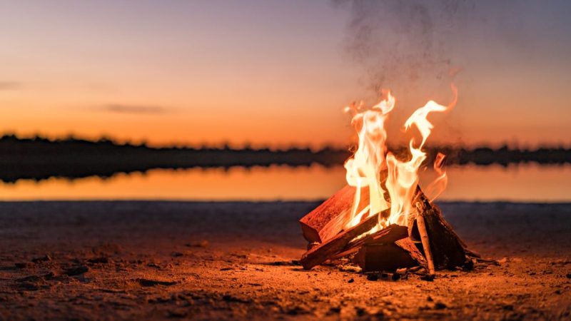 Veterinary professionals urged to join Campfire Chats