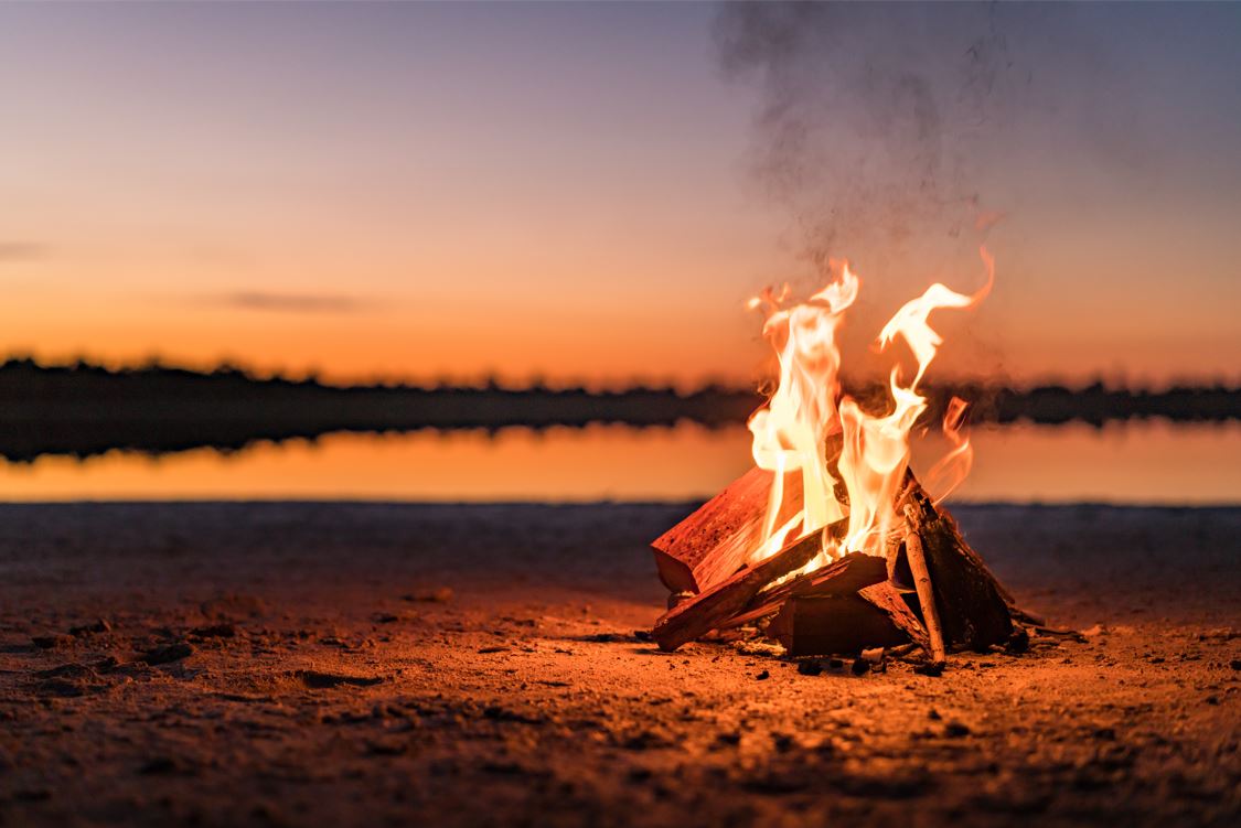 Veterinary professionals urged to join Campfire Chats