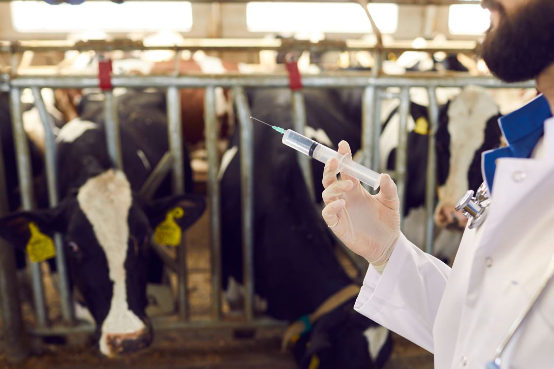Vets urged to help farmers demonstrate low antibiotic use