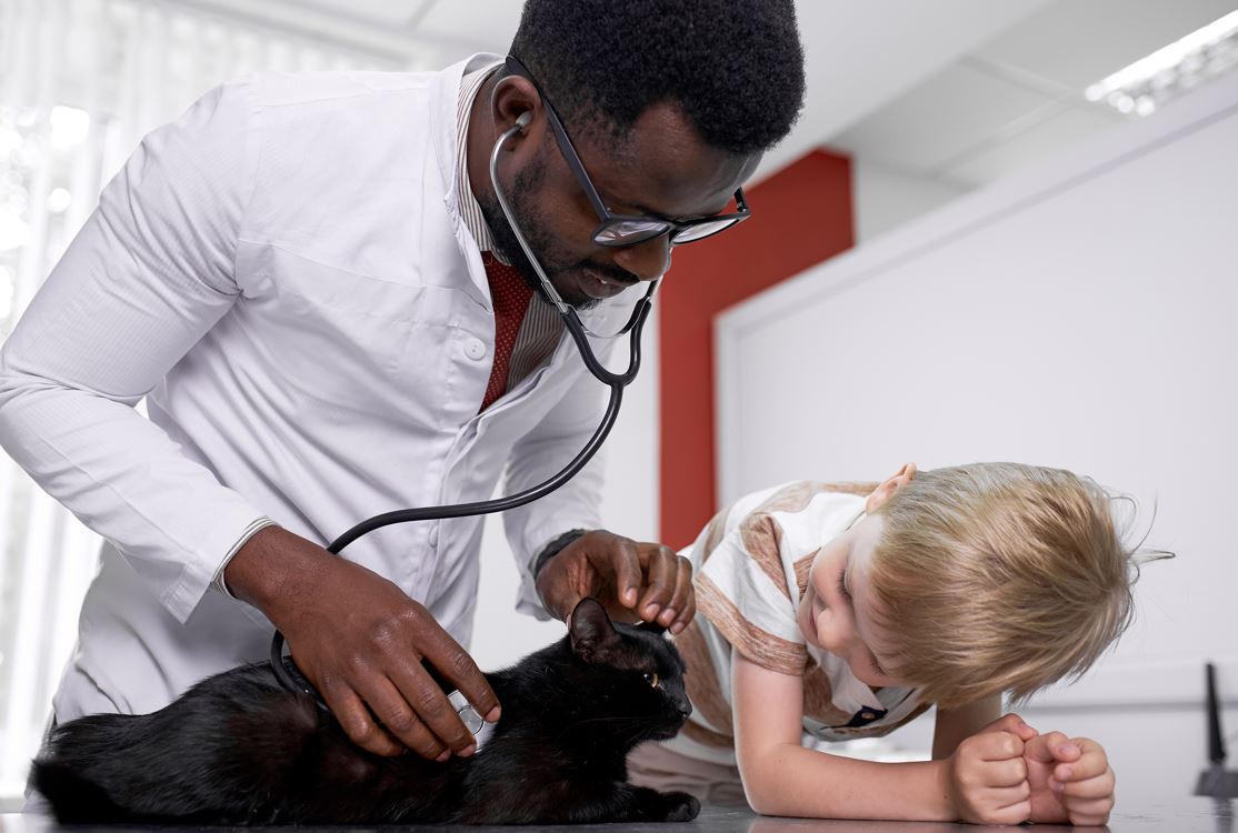 More support offered to refugee veterinary professionals