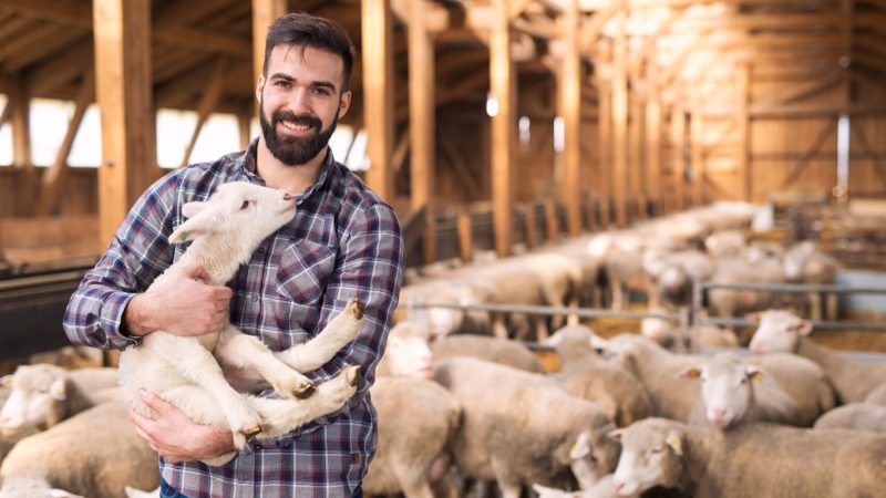 Young sheep farmers urged to become ambassadors