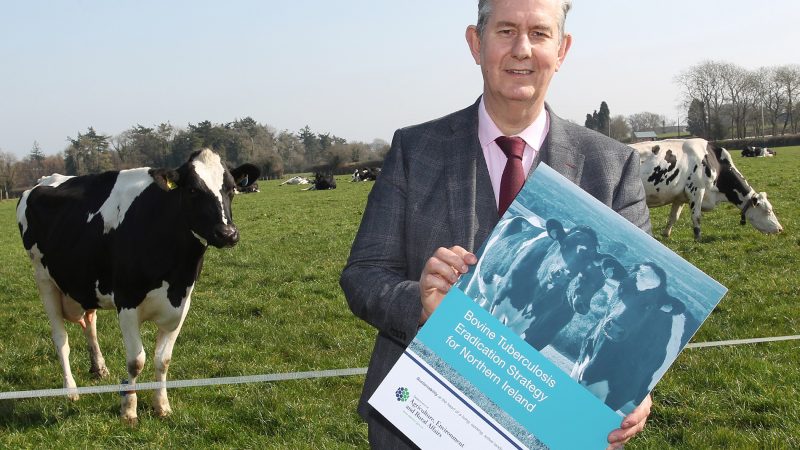 New bovine TB eradication-strategy launched