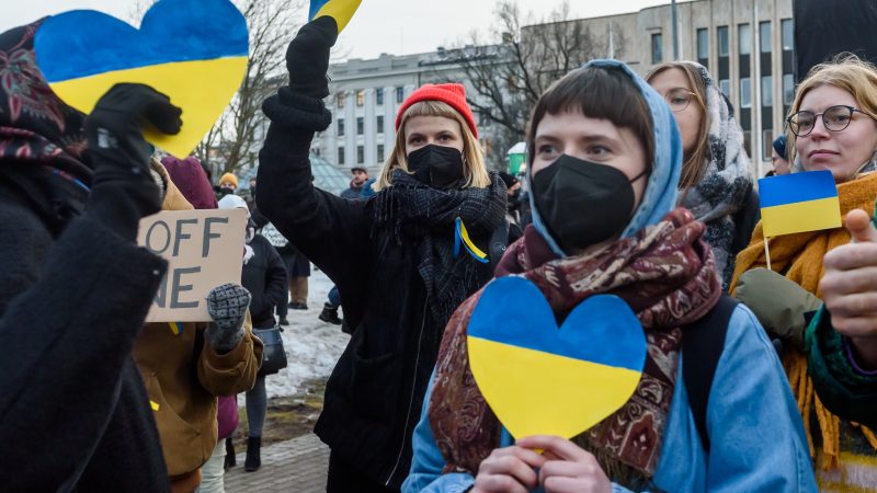 RCVS pledges full support for Ukraine refugee vets