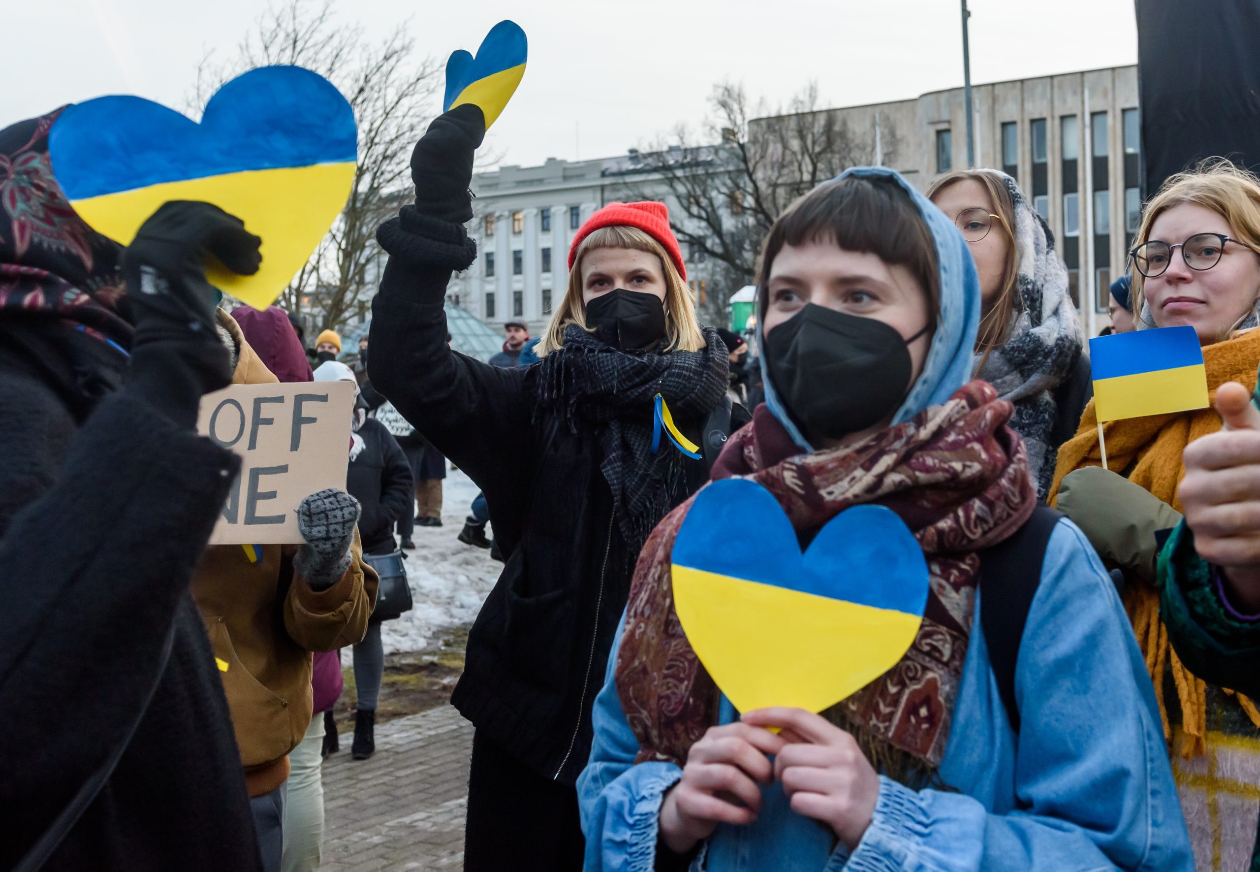 RCVS pledges full support for Ukraine refugee vets
