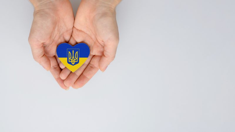 BVA offers free membership to Ukrainian vets moving to UK