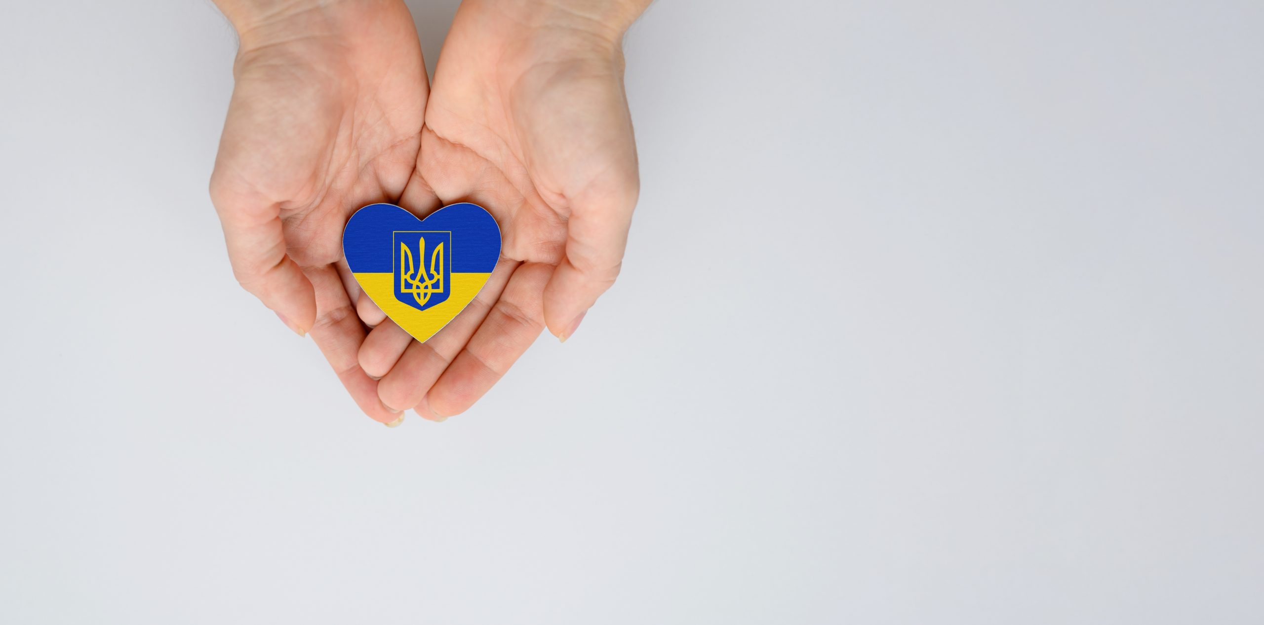 BVA offers free membership to Ukrainian vets moving to UK