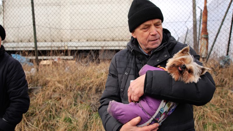 Free vet care for Ukraine war refugees’ animals