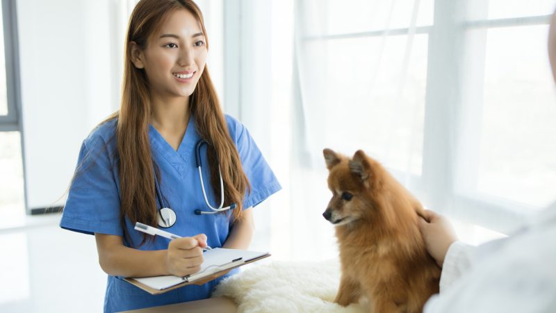 Webinar bids to empower vet nurses in push for better pay
