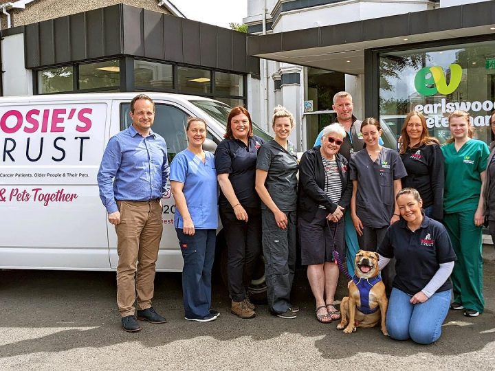 Earlswood Veterinary donates £1,000 to Rosie’s Trust