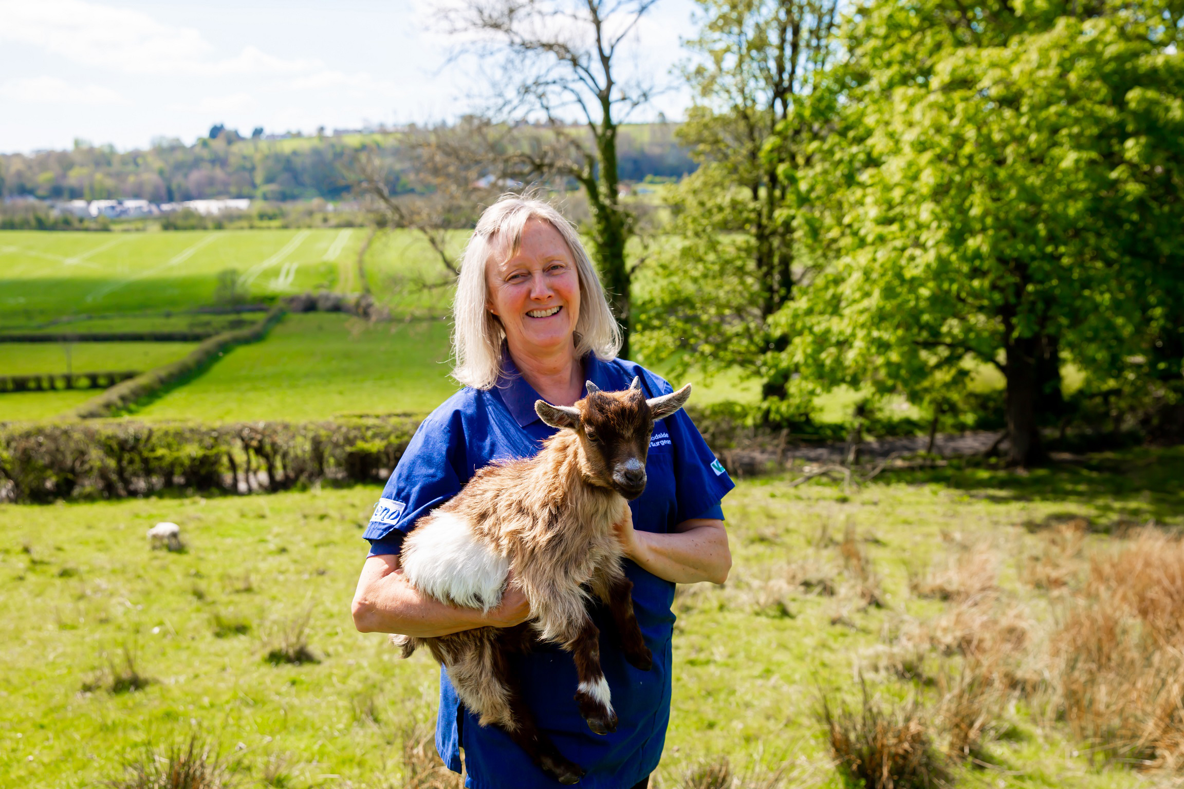 Rural vets help showcase best of NI countryside