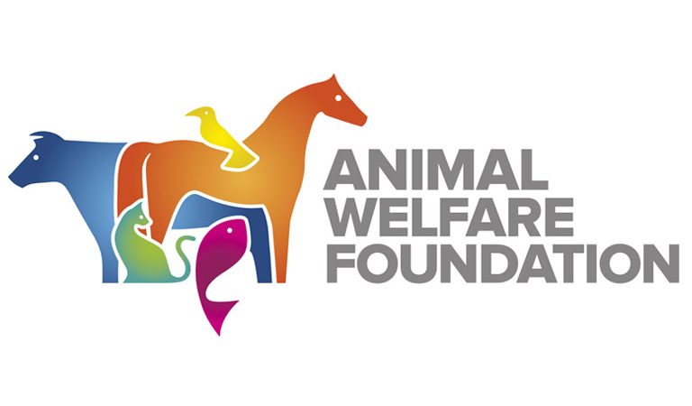 Veterinary professionals sought to join charity’s board of trustees