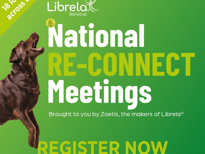 Zoetis invites vets and nurses to Librela Re-Connect meetings