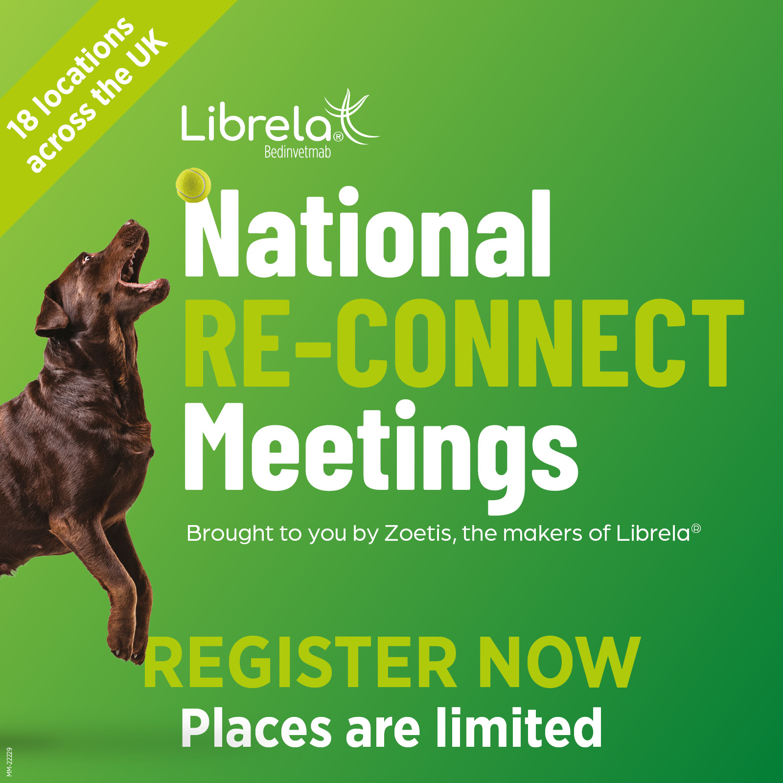 Zoetis invites vets and nurses to Librela Re-Connect meetings